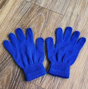 NWOT Blue Kid Gloves